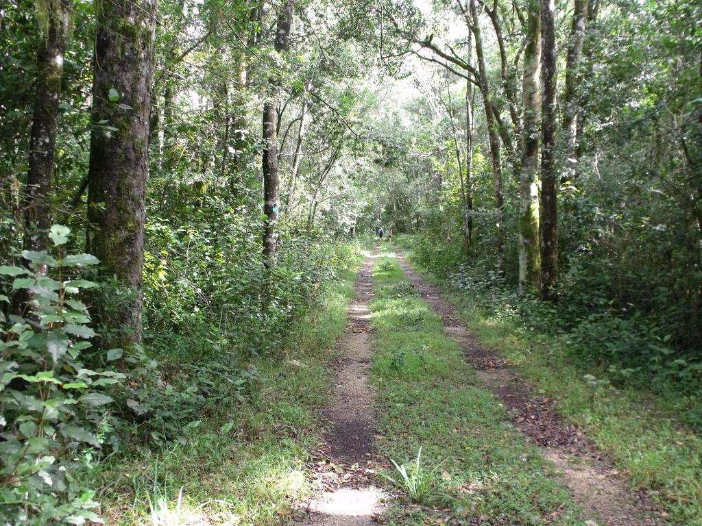 Kamma-Otter Apartment Nature's Valley Luaran gambar